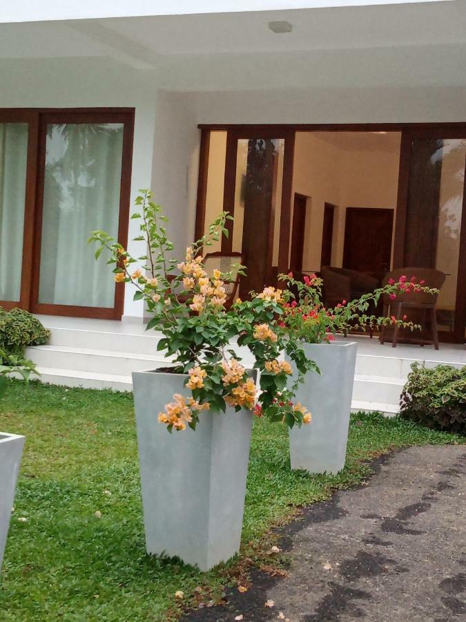 Colibri Villa Maggona Exterior foto